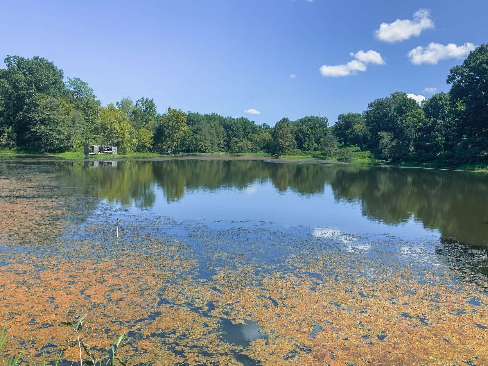 186 Acres of Land for Sale in Elbridge, Tennessee