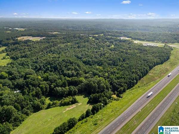 60 Acres of Mixed-Use Land for Sale in Jasper, Alabama