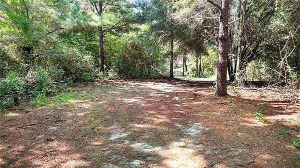 50.4 Acres of Recreational & Residential Land for Sale in Amite, Louisiana