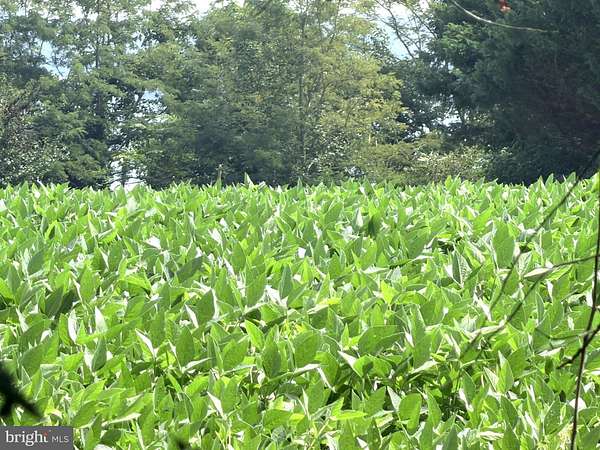 0.34 Acres of Residential Land for Sale in Broomes Island, Maryland