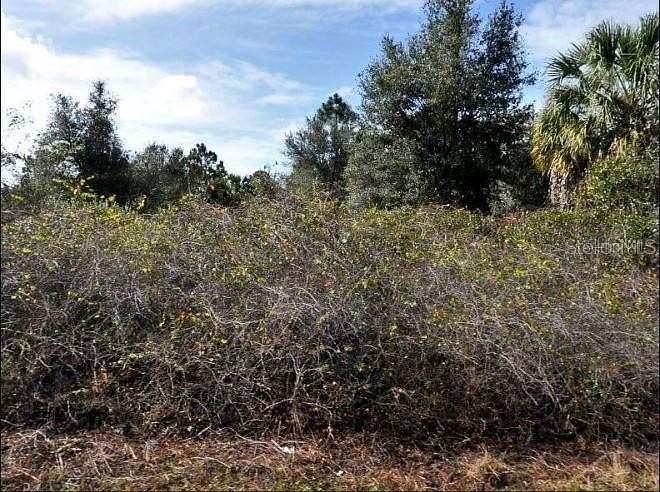 0.23 Acres of Land for Sale in North Port, Florida