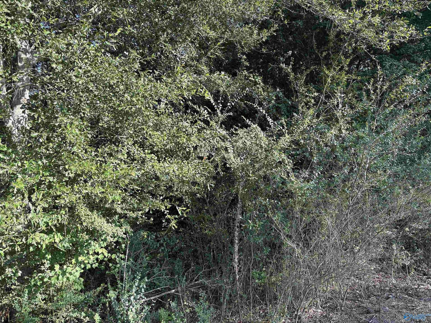 8.1 Acres of Residential Land for Sale in Cullman, Alabama