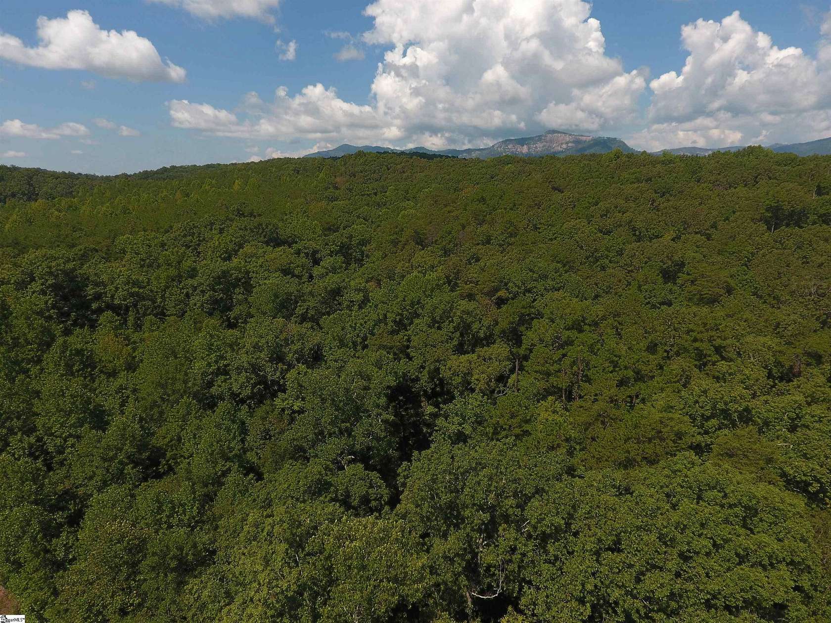 20 Acres of Land for Sale in Pickens, South Carolina