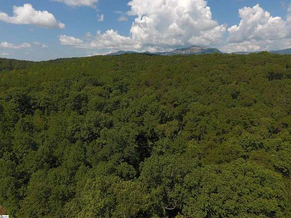 20 Acres of Land for Sale in Pickens, South Carolina