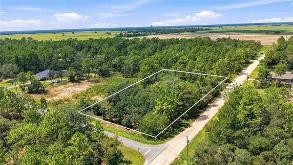 1 Acre of Residential Land for Sale in Dunnellon, Florida