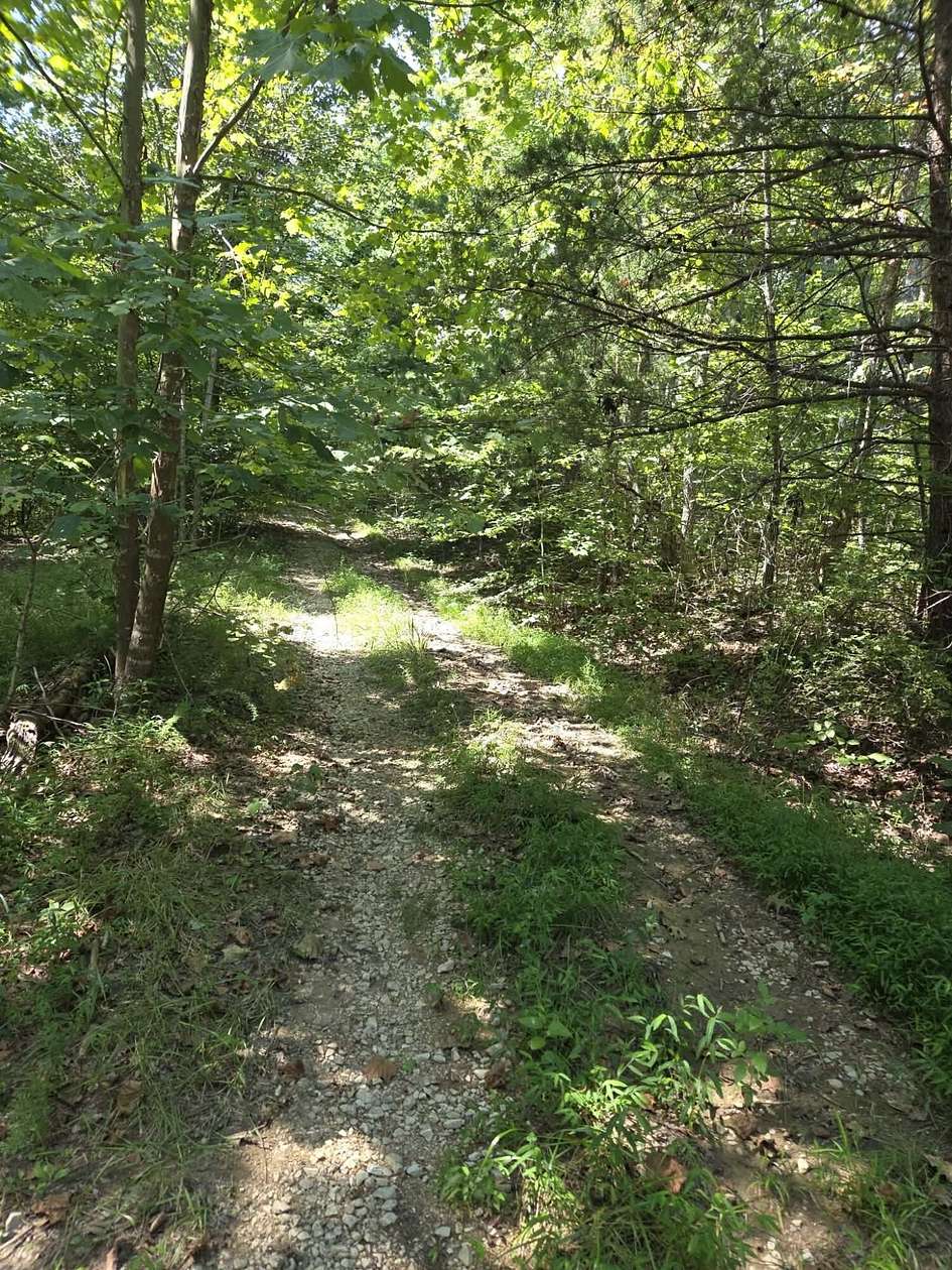 93.8 Acres of Recreational & Residential Land for Sale in Stanton, Kentucky