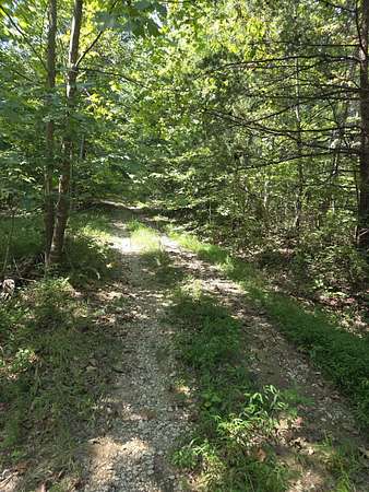 93.8 Acres of Recreational & Residential Land for Sale in Stanton, Kentucky