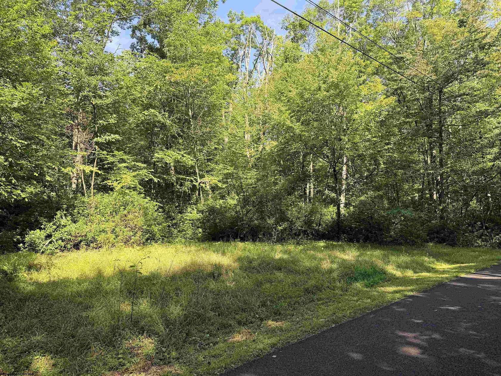 0.39 Acres of Residential Land for Sale in Terra Alta, West Virginia