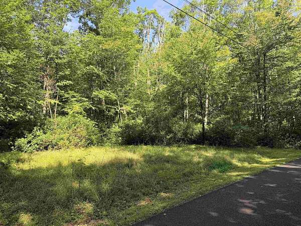 0.39 Acres of Residential Land for Sale in Terra Alta, West Virginia