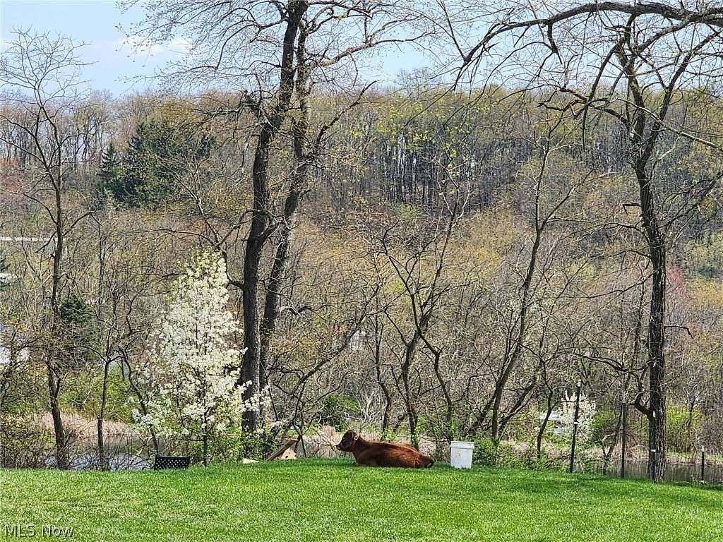 2 Acres of Land with Home for Sale in East Liverpool, Ohio