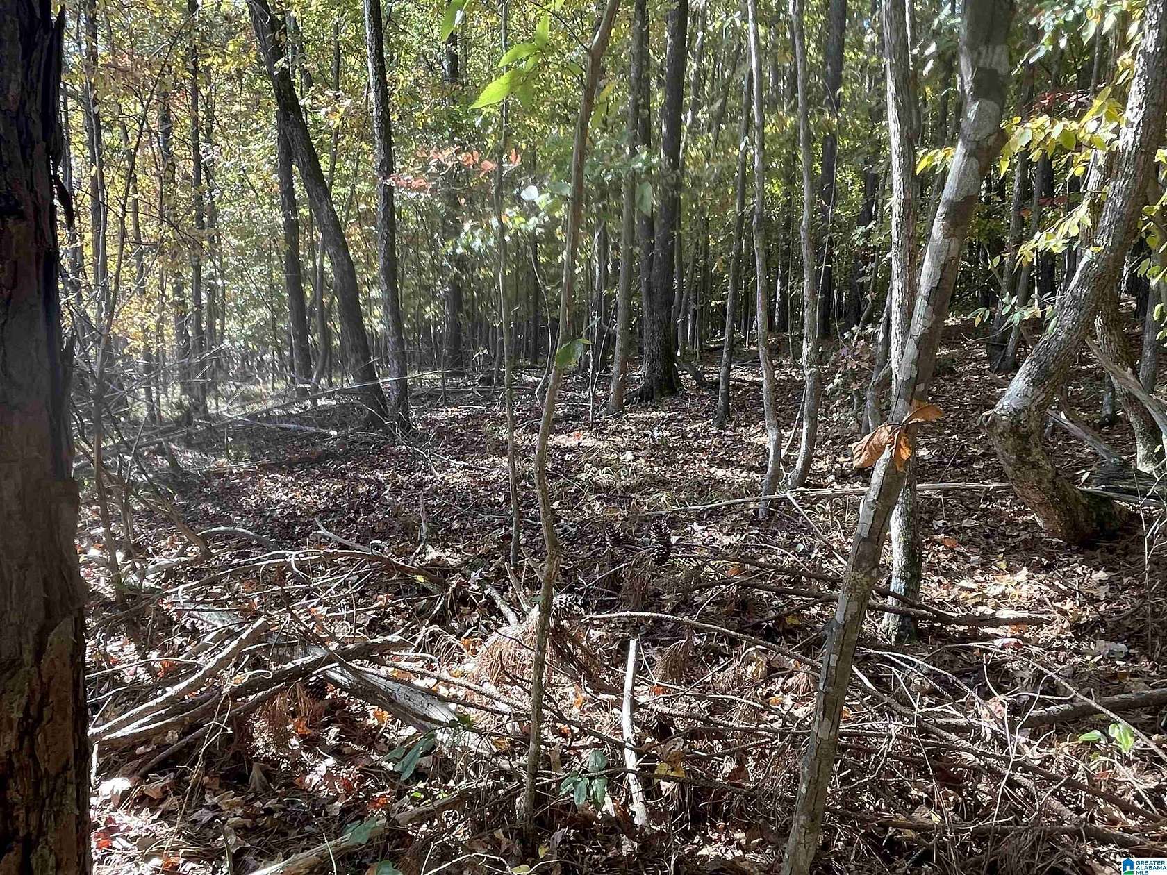 10.3 Acres of Land for Sale in Oneonta, Alabama