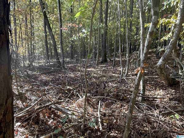 10.3 Acres of Land for Sale in Oneonta, Alabama