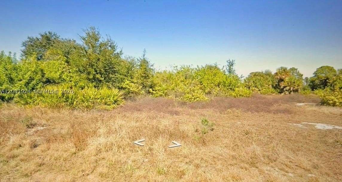 0.39 Acres of Residential Land for Sale in Lehigh Acres, Florida