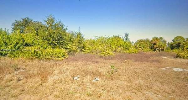 0.39 Acres of Residential Land for Sale in Lehigh Acres, Florida