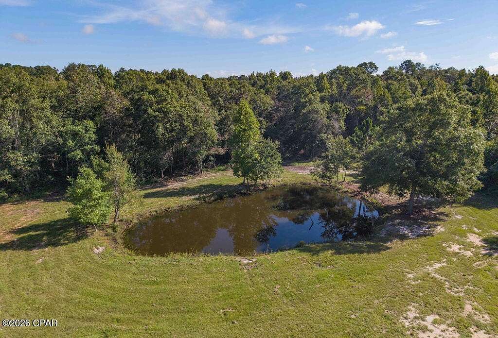 8.79 Acres of Residential Land for Sale in Graceville, Florida