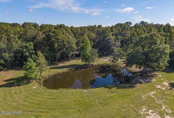 8.79 Acres of Residential Land for Sale in Graceville, Florida