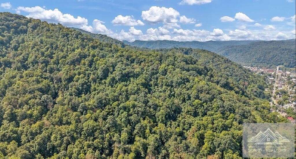 76.5 Acres of Recreational & Residential Land for Sale in Hinton, West Virginia