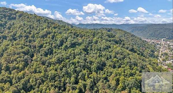 76.5 Acres of Recreational & Residential Land for Sale in Hinton, West Virginia
