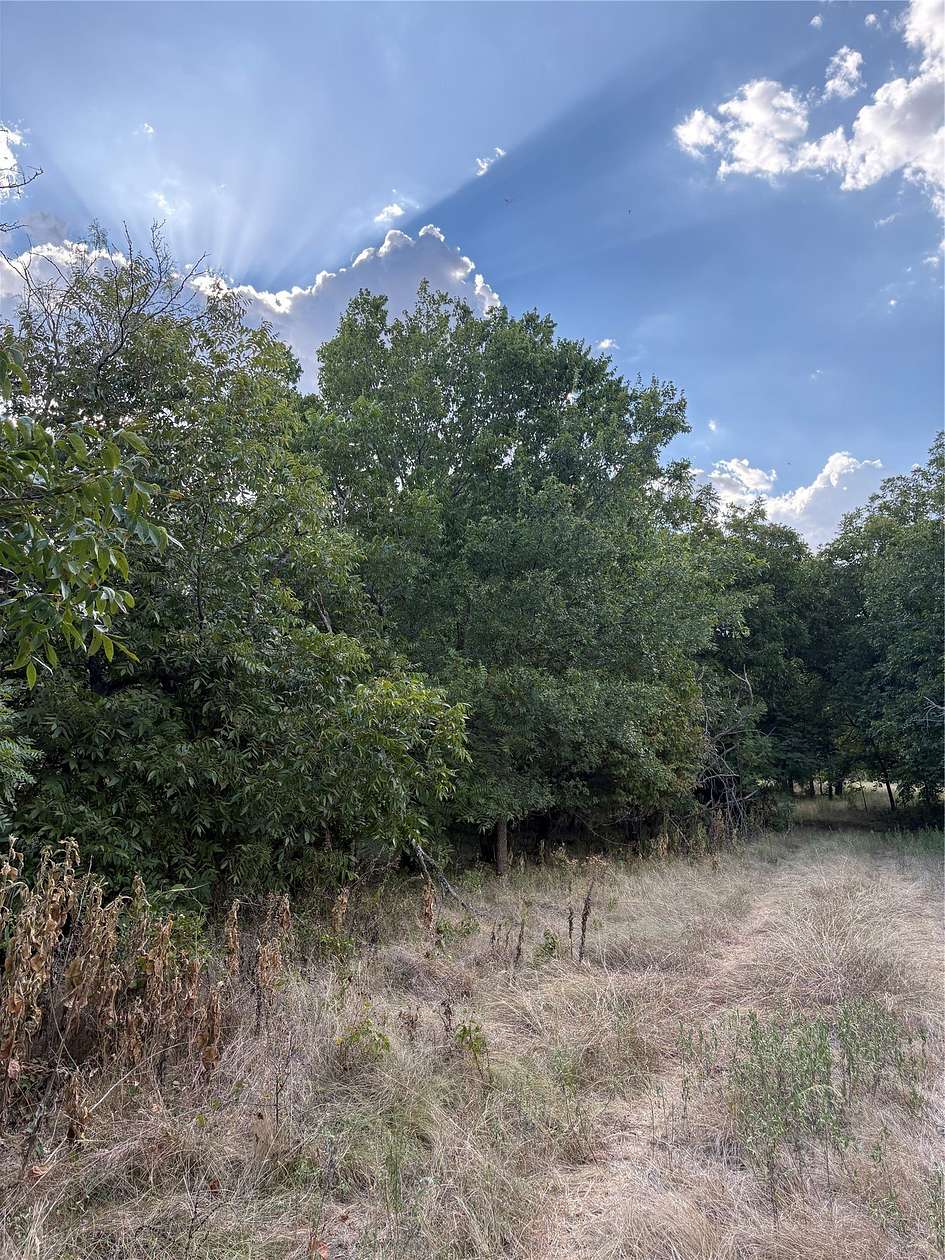 50 Acres of Land for Sale in Jacksboro, Texas