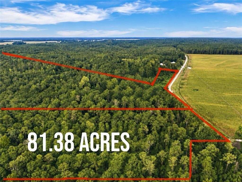 80 Acres of Land for Sale in Little Texas, Alabama