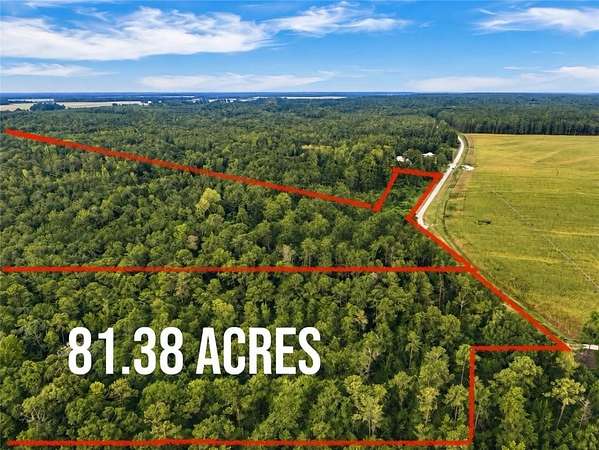 80 Acres of Land for Sale in Little Texas, Alabama