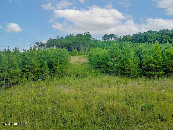 5 Acres of Residential Land for Sale in Madisonville, Tennessee