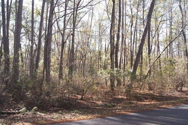 1 Acre of Residential Land for Sale in Georgetown, South Carolina