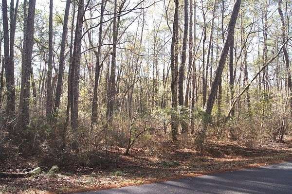 1 Acre of Residential Land for Sale in Georgetown, South Carolina
