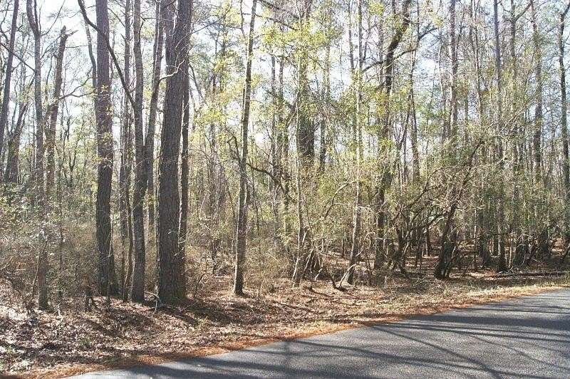 1 Acre of Residential Land for Sale in Georgetown, South Carolina