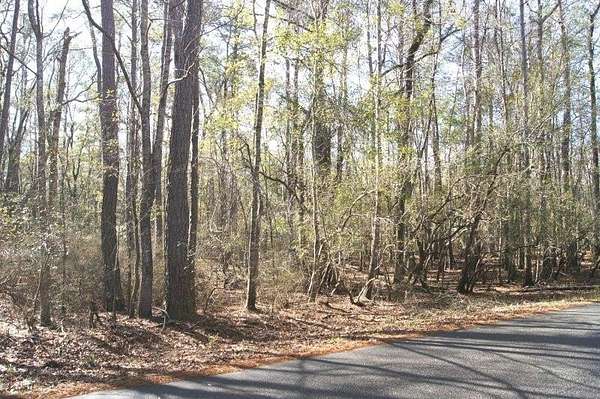 1 Acre of Residential Land for Sale in Georgetown, South Carolina
