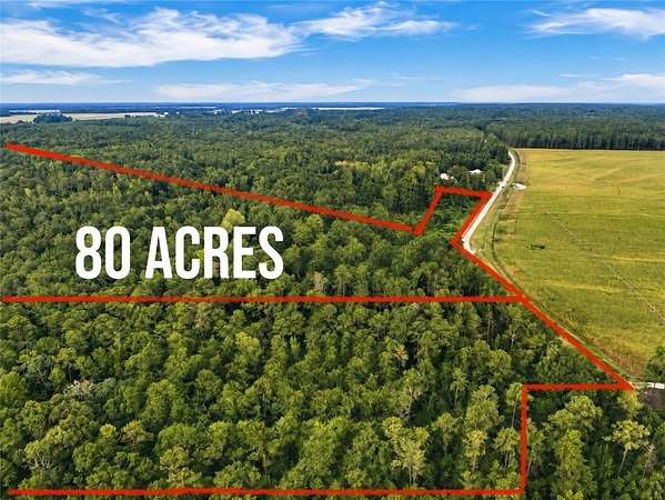 80 Acres of Land for Sale in Little Texas, Alabama