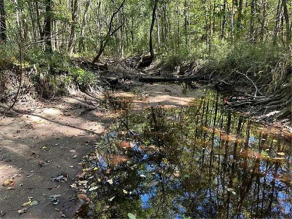 80 Acres of Land for Sale in Little Texas, Alabama