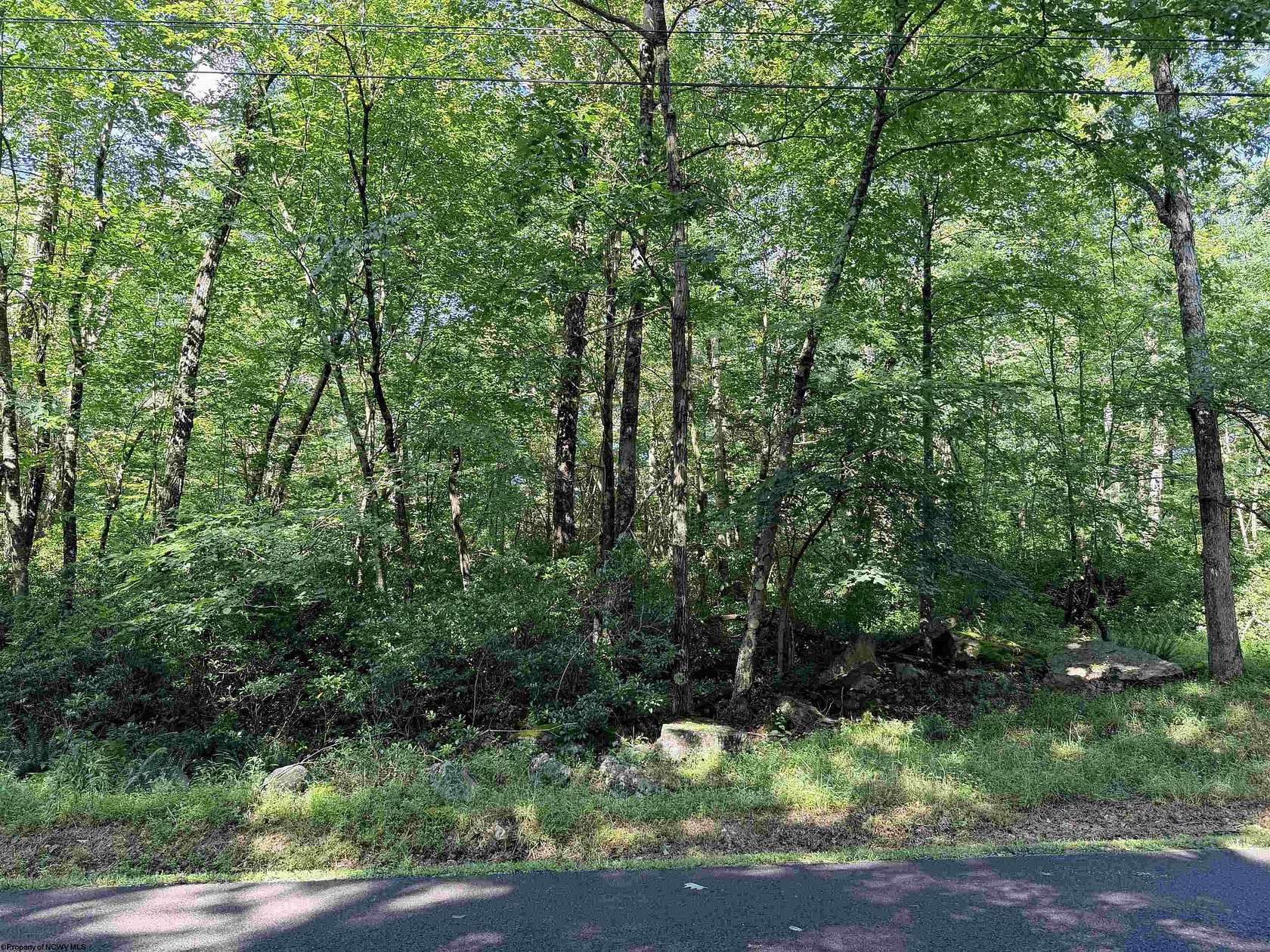 0.36 Acres of Residential Land for Sale in Terra Alta, West Virginia
