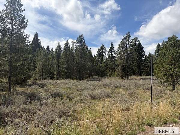 5 Acres of Residential Land for Sale in Island Park, Idaho