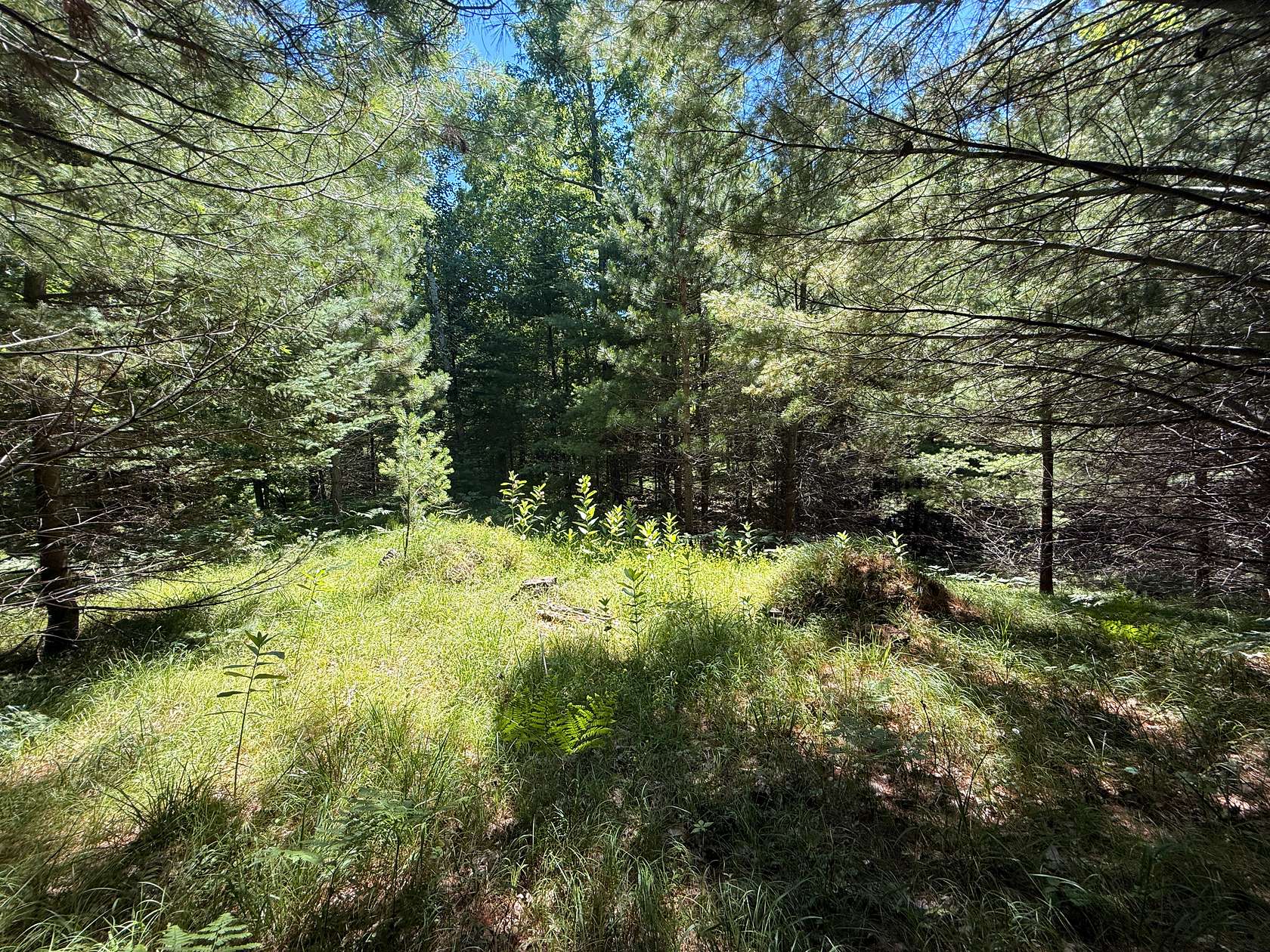 3.86 Acres of Residential Land for Sale in Minocqua, Wisconsin