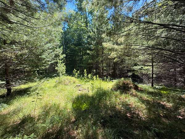 3.86 Acres of Residential Land for Sale in Minocqua, Wisconsin