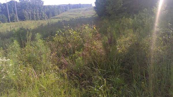 67.6 Acres of Land for Sale in Conyers, Georgia