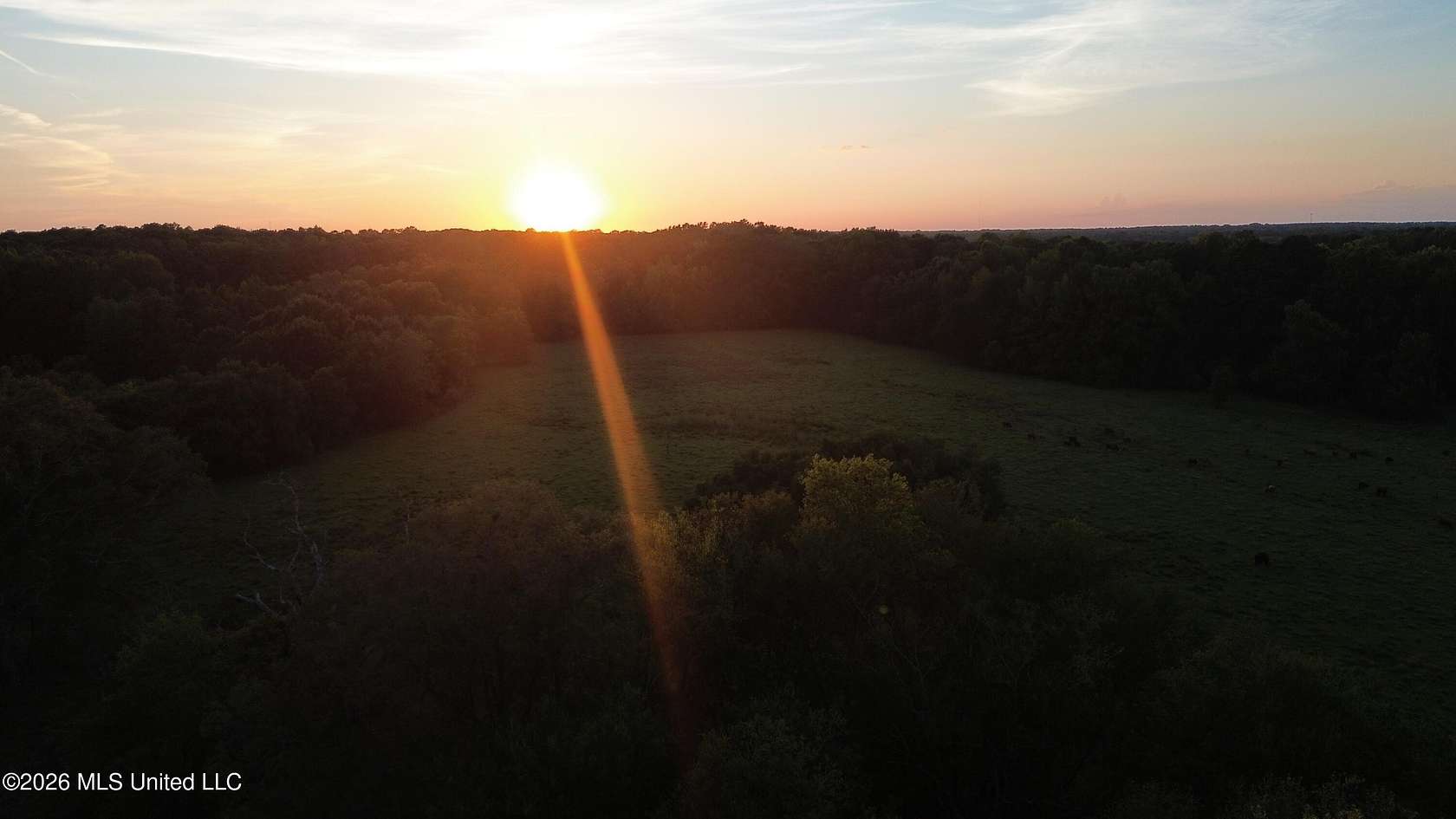 20.6 Acres of Agricultural & Residential Land for Sale in Canton, Mississippi