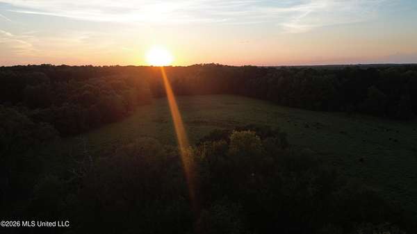 20.6 Acres of Agricultural & Residential Land for Sale in Canton, Mississippi