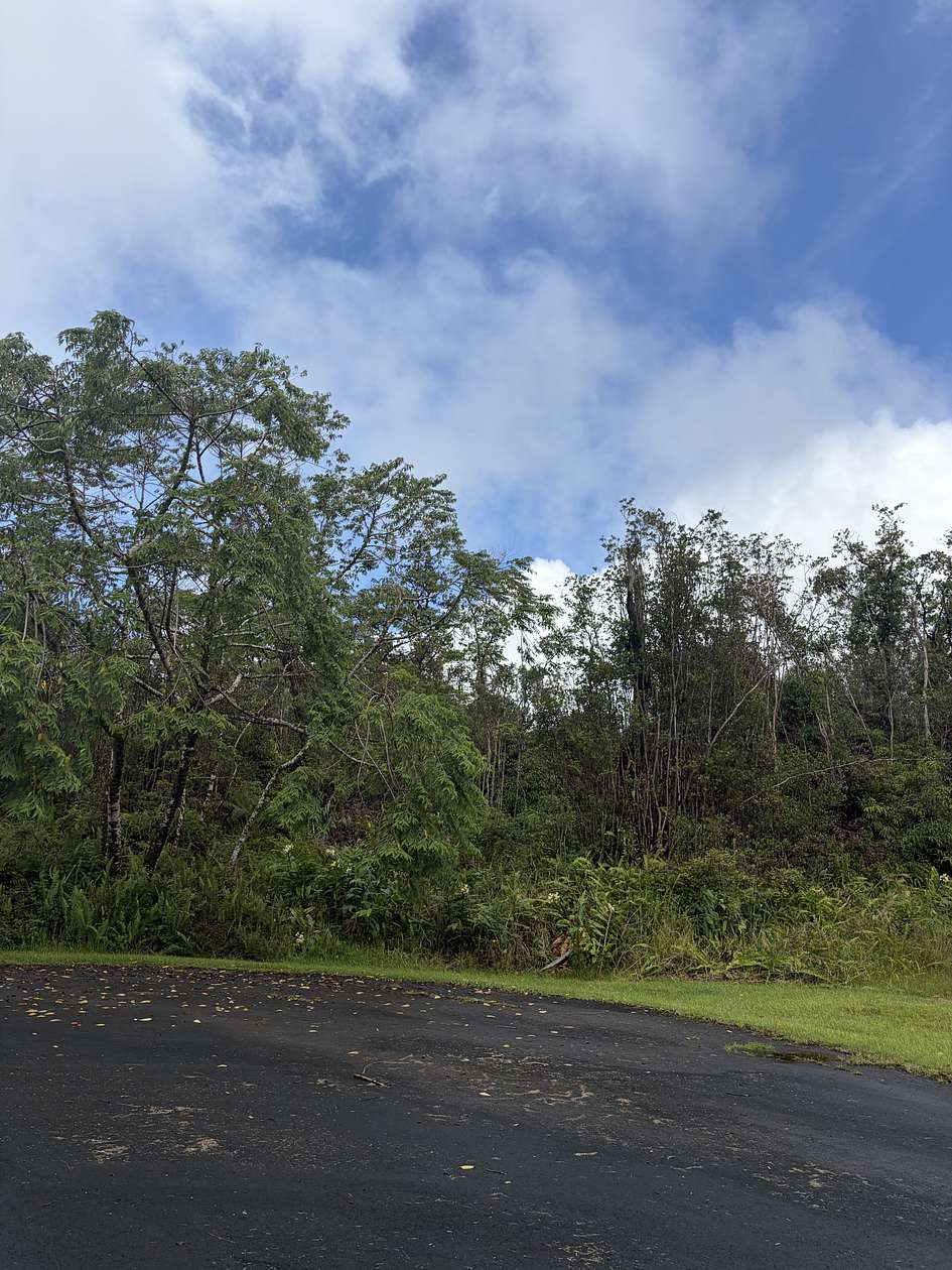 8.14 Acres of Residential Land for Sale in Mountain View, Hawaii