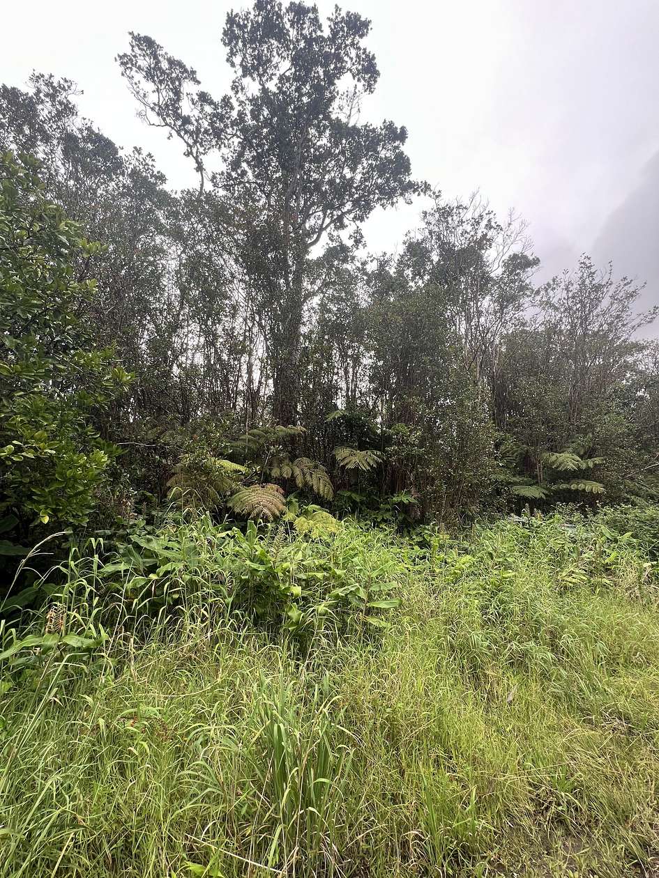 0.28 Acres of Land for Sale in Mountain View, Hawaii