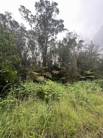 0.28 Acres of Land for Sale in Mountain View, Hawaii