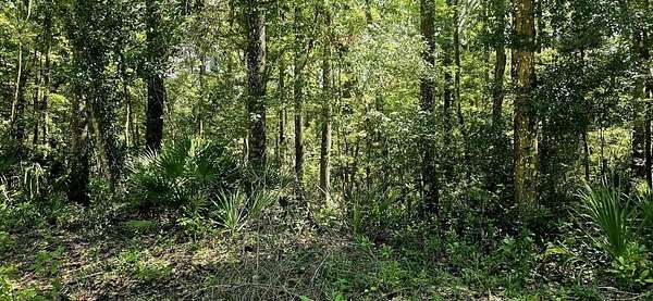 5 Acres of Residential Land for Sale in Old Town, Florida