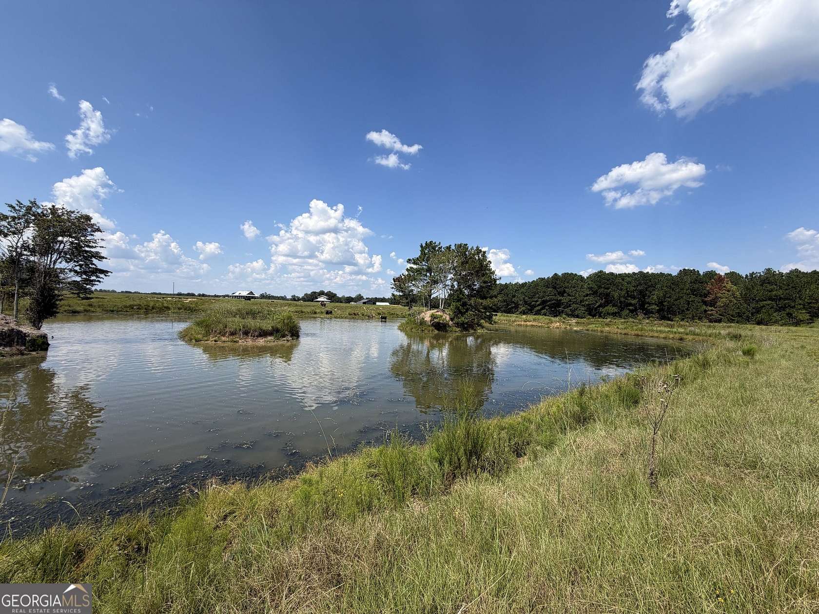 23 Acres of Recreational & Residential Land for Sale in Claxton, Georgia