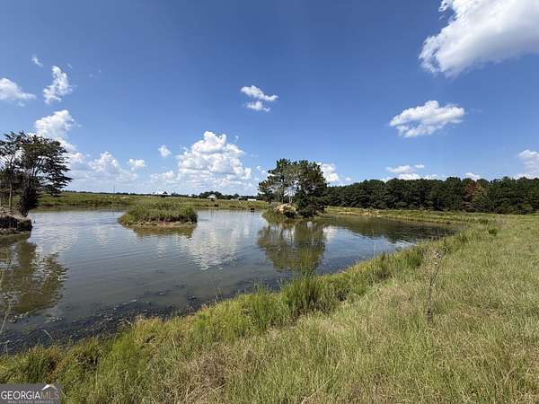 23 Acres of Recreational & Residential Land for Sale in Claxton, Georgia