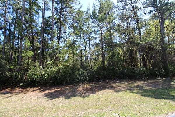 1 Acre of Residential Land for Sale in Eastpoint, Florida