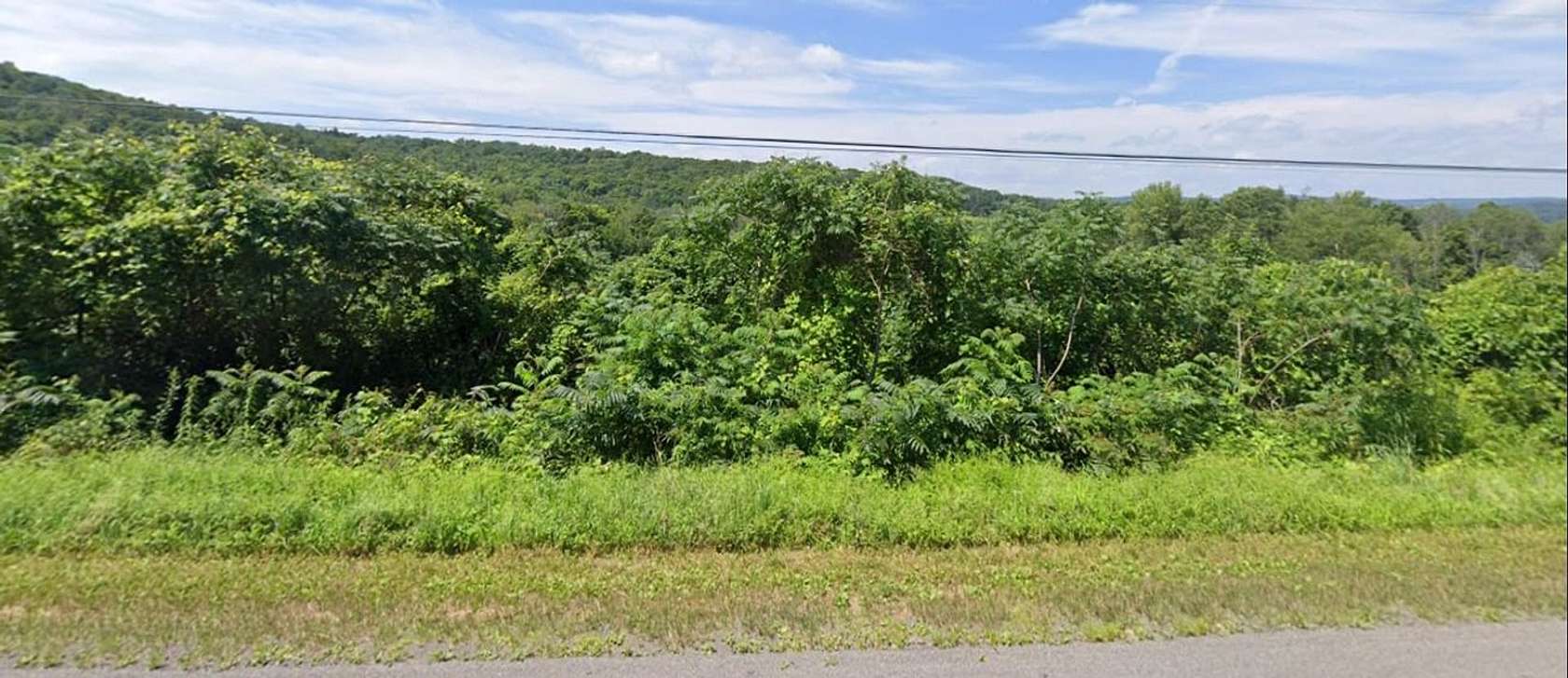 115 Acres of Recreational Land for Sale in Homer, New York