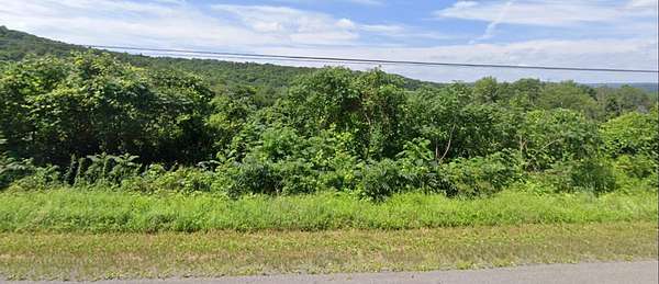 115 Acres of Recreational Land for Sale in Homer, New York