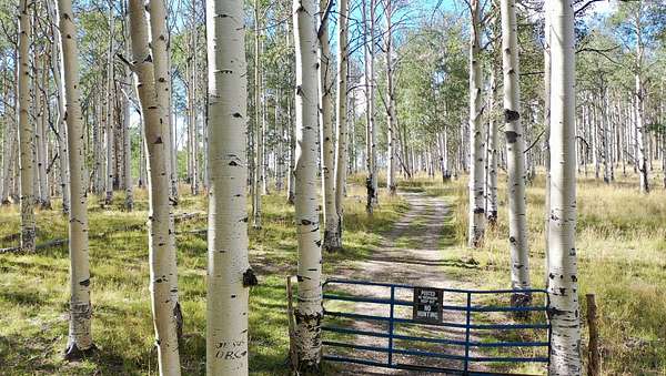 49.7 Acres of Land for Sale in Cedar City, Utah