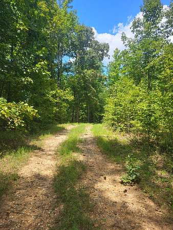 17 Acres of Recreational & Residential Land for Sale in Talladega, Alabama